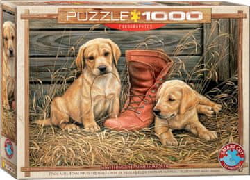 EuroGraphics Puzzle Kužki s starim čevljem 1000 kosov