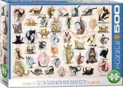 EuroGraphics Cat Yoga Puzzle XL 500 kosov