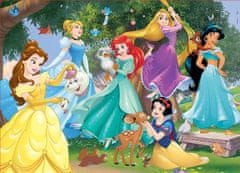Educa Lesena sestavljanka Disneyjeve princese 100 kosov