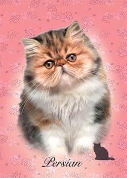 Educa Perzijska mačka Puzzle 100 kosov