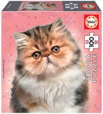 Educa Perzijska mačka Puzzle 100 kosov