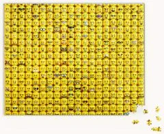 Chronicle Books LEGO Minifigure Faces Puzzle 1000 kosov