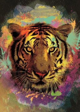 Art puzzle Puzzle Tiger 150 kosov