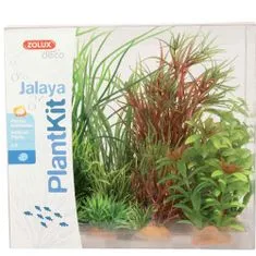 Zolux Umetna rastlina komplet JALAYA - 4 varianta
