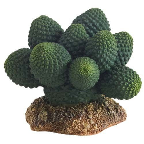 HOBBY Terraristik HOBBY Kaktus Atacamma 7 cm