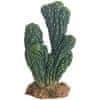 HOBBY Kaktus Victoria 19 cm