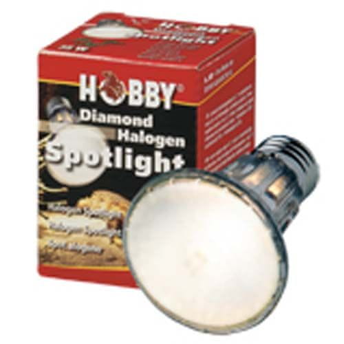 HOBBY Terraristik HOBBY Diamond Halogen Spotlight 75W -Halogenski oddajnik toplote 12° z ozkim kotom sevanja