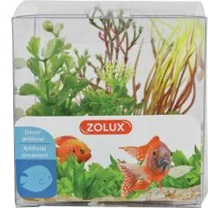 Zolux Umetna rastlina komplet škatla 4kosov 2. varianta.