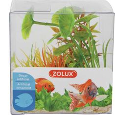 Zolux Umetna rastlina komplet škatla 4kosov 3. varianta