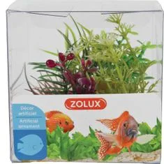 Zolux Umetna rastlina komplet škatla 4kosov 4. varianta