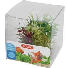 Zolux Umetna rastlina komplet škatla 4kosov 4. varianta
