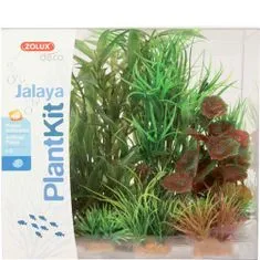 Zolux Umetna rastlina komplet JALAYA - 2 varianta
