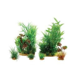 Zolux Umetna rastlina komplet JALAYA - 2 varianta