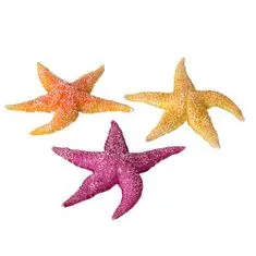 EBI AQUA DELLA morska zvezda mix 17 x 15 x 2,3cm 1kos