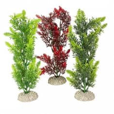 EBI AQUA DELLA Umetna rastlina ELODEA DENSA M v mix barvah 25cm 1kos