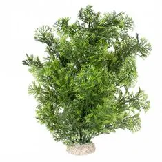 EBI  EBI AQUA DELLA Umetna rastlina PHOENIX L zelena 25cm