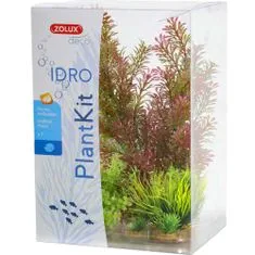 Zolux Umetna rastlina komplet IDRO - 1 varianta
