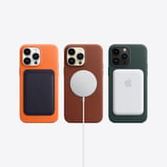 Apple iPhone 14 Pro Max mobilni telefon, 256GB, Silver (MQ9V3YC/A)
