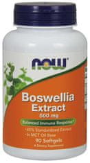 NOW Foods Boswellia ekstrakt, 500 mg, 90 mehkih kapsul