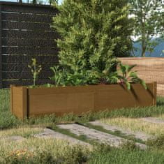 Vidaxl Visoka greda medeno rjava 150x31x31 cm trdna borovina