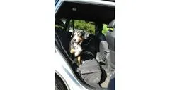 Merco Doggie Mat avtomobilska podloga za psa