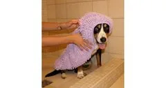 Merco Vpojna majhna brisača za psa vijolična