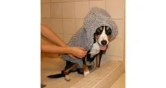 Merco Vpojna majhna brisača za psa sive barve