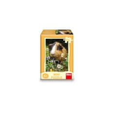 Dino ŽIVALI 54 mini puzzle