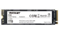 P300/1TB/SSD/M.2 NVMe/5R