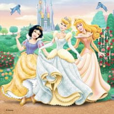 Ravensburger Disneyjeve princese Puzzle: Sanje 3x49 kosov