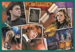 Trefl Uganka 10v1 Harry Potter - V svetu Harryja Potterja