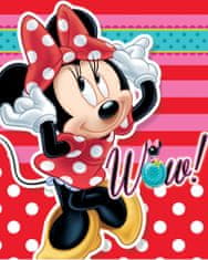 Disney ODEJA Minnie