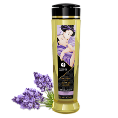 Shunga - Masažno olje Romance jagode in šampanjec