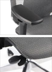 STEMA Vrtljiv ergonomski pisarniški stol DITTER. Aluminijasto podnožje. Siva.