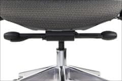 STEMA Vrtljiv ergonomski pisarniški stol DITTER. Aluminijasto podnožje. Siva.