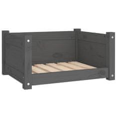 Vidaxl Pasja postelja siv 55,5x45,5x28 cm trdna borovina