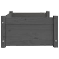 Vidaxl Pasja postelja siv 65,5x50,5x28 cm trdna borovina