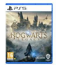 Warner Bros Hogwarts Legacy igra (PS5)