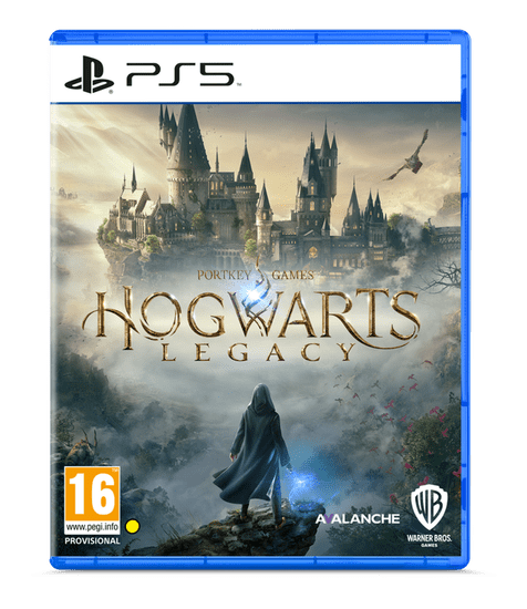 Warner Bros Hogwarts Legacy igra (PS5)