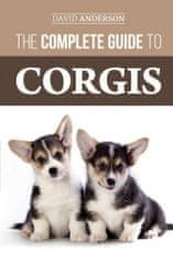 Complete Guide to Corgis