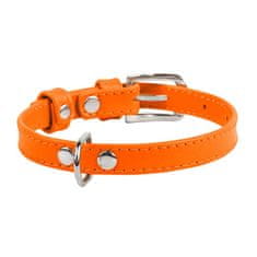 WAUDOG Dvoslojna pasja ovratnica iz kakovostnega usnja v oranžni barvi, Oranžna 38-49 cm, širina: 25 mm