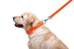 WAUDOG Dvoslojna pasja ovratnica iz kakovostnega usnja v oranžni barvi, Oranžna 18-21 cm, širina: 9 mm