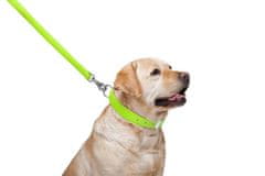 WAUDOG ravna zelena usnjena ovratnica za pse, zelena 18-21 cm, širina: 9 mm