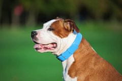 WAUDOG Dvoslojna pasja ovratnica iz kakovostnega usnja modre barve, modra 46-60 cm, širina: 35 mm