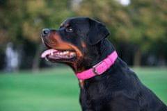 WAUDOG Ploščata visokokakovostna usnjena dvoslojna pasja ovratnica v roza barvi, roza 18-21 cm, širina: 9 mm