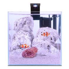 Aqualighter Aqua marine set 15l za beta ribe, kozice, rastline s filtrom LED lučka, podloga, pokrov, prozorna