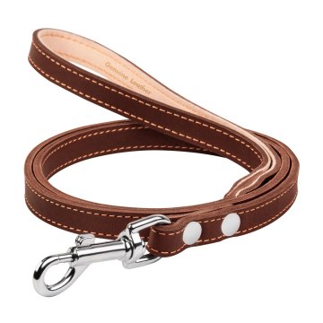 WAUDOG Crazypaws rjav usnjen pasji povodec 122 cm