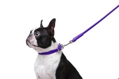 WAUDOG Okrogel usnjen povodec vijolična 183cm 13 mm vijolična