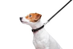 WAUDOG Ploščata dvoslojna usnjena ovratnica za pse črne barve, Črna 18-21 cm, širina: 9 mm