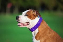 WAUDOG Dvoslojna pasja ovratnica iz kakovostnega usnja v vijolični barvi, vijolična 18-21 cm, širina: 9 mm